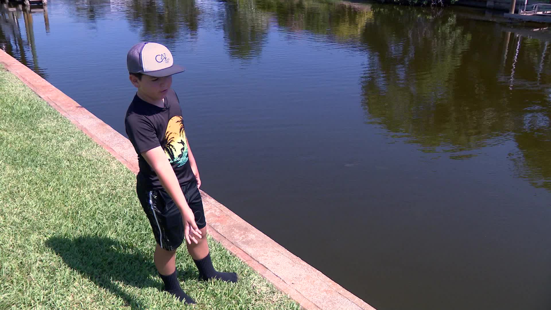 Crocodile swims 100 miles, returns to where it was captured in Florida