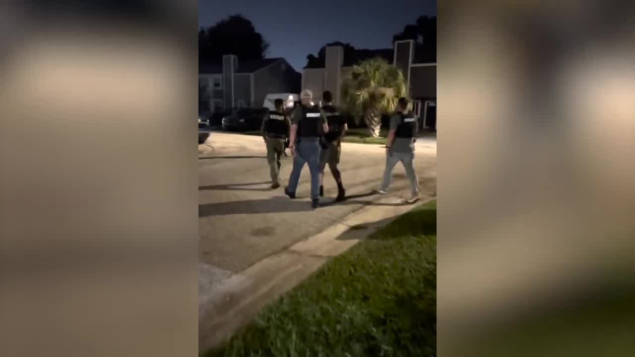 Auto Theft Arrests in Hillsborough County – WFLA
