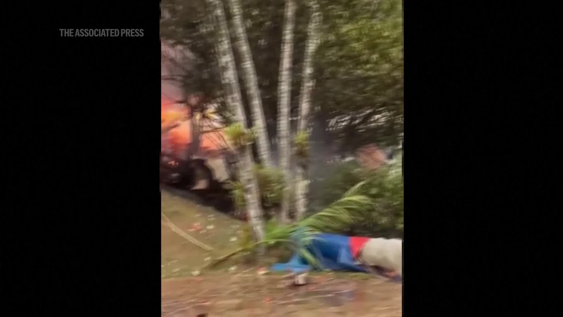 All 61 passengers killed in fiery Brazil plane crash, officials say – WFLA