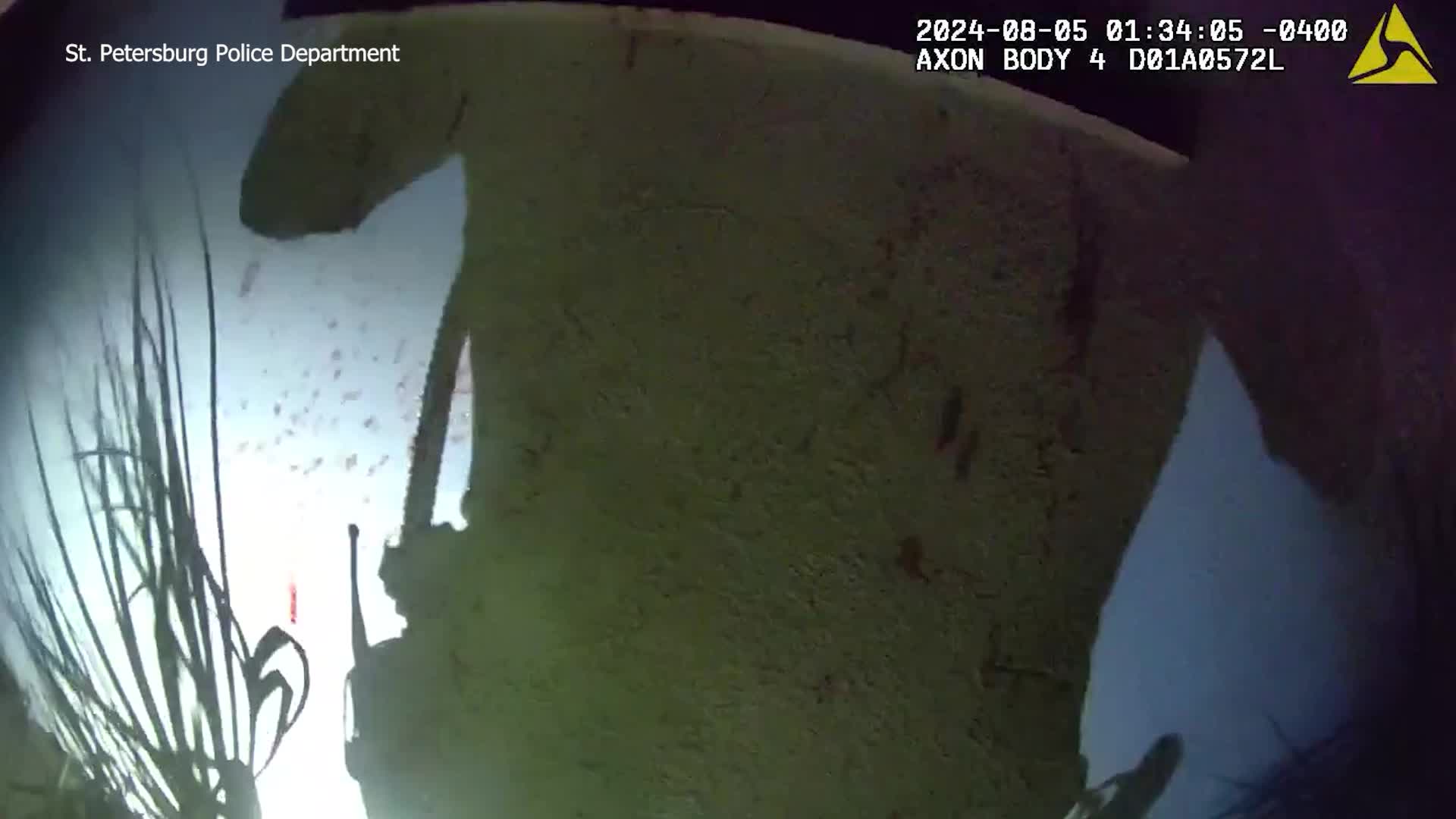 Dramatic video shows officers rescue man from burning house in St ...