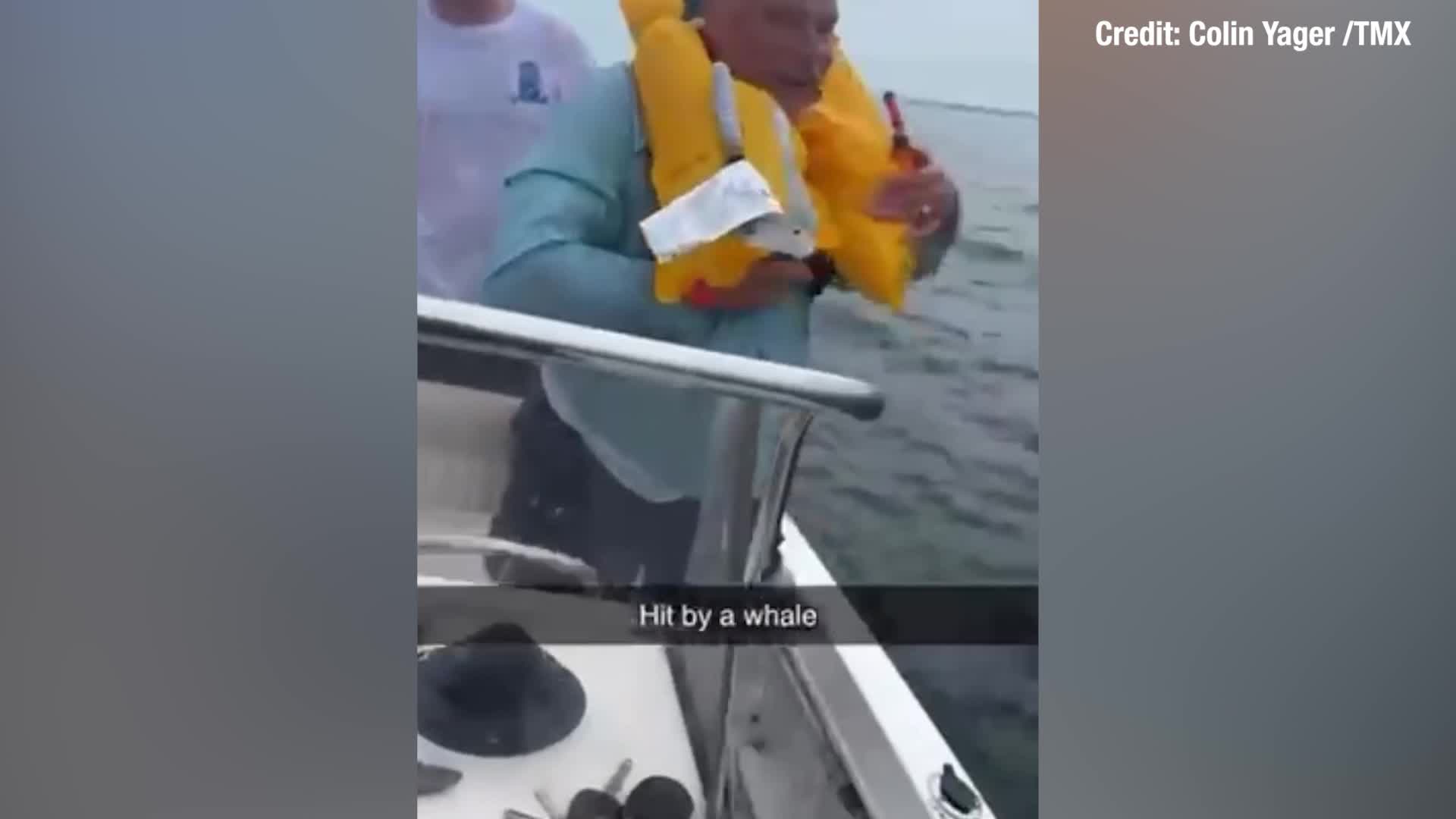 Must-see video: Breaching whale lands on boat, nearly capsizes vessel