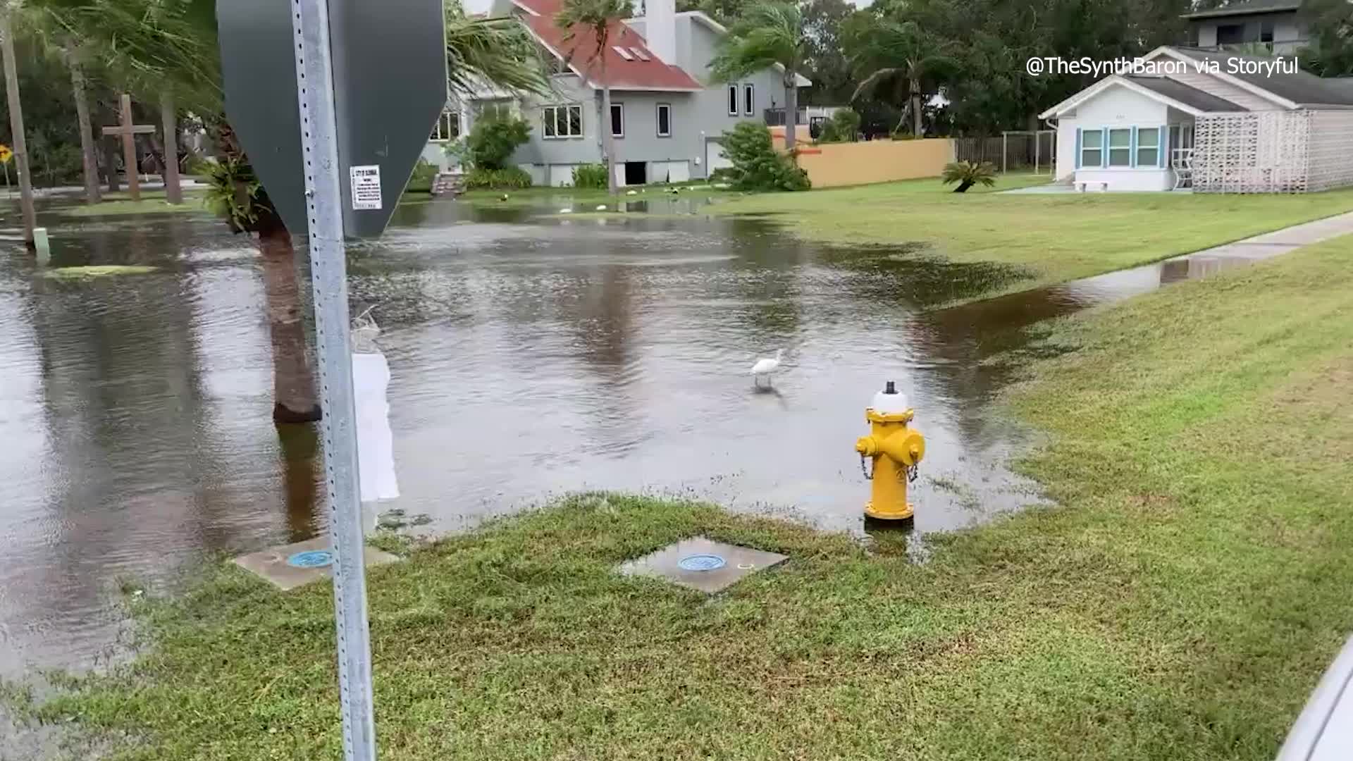 Coastal Flooding Begins in Oldsmar as Helene Nears Florida WFLA